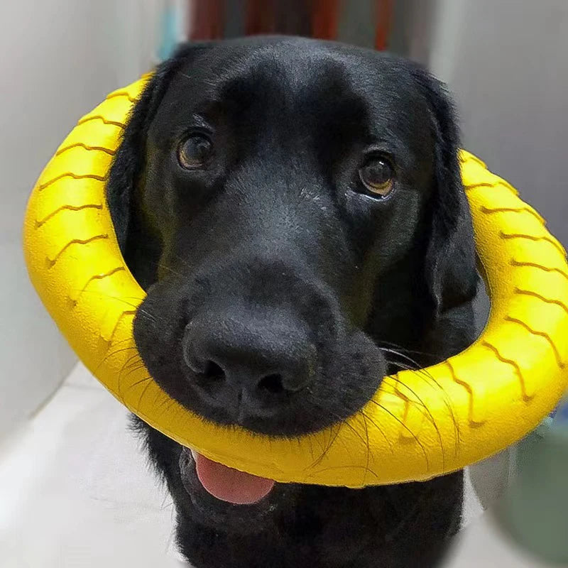 Brinquedo para Cães Ringue Indestrutível – Ferramenta de Treinamento, Lançamento e Recuperação para Cães Pequenos, Médios e Grandes